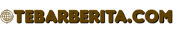 TEBARBERITA.COM