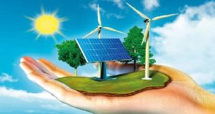 7 Tips Memulai Gaya Hidup Go Green, Hidup Lebih Sehat dan Ramah Lingkungan